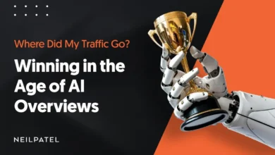 A graphic that says "Where Did My Traffic Go? Winning In The Age of AI Overviews."