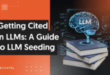 A Guide to LLM Seeding