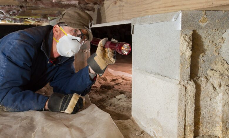 Termite and Pest Inspection Requirements for VA Loans