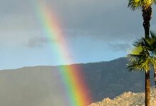 Legal Ethics Roundup: ‘Judicial Burn’ Dissent, High-Stakes Poker Player Lawyer Risks It All, AI-Faked Evidence, DOJ Misconduct & More 