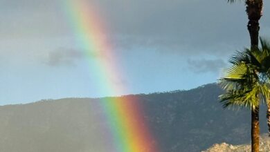 Legal Ethics Roundup: ‘Judicial Burn’ Dissent, High-Stakes Poker Player Lawyer Risks It All, AI-Faked Evidence, DOJ Misconduct & More 