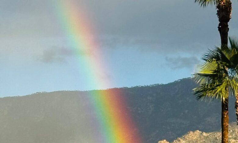 Legal Ethics Roundup: ‘Judicial Burn’ Dissent, High-Stakes Poker Player Lawyer Risks It All, AI-Faked Evidence, DOJ Misconduct & More